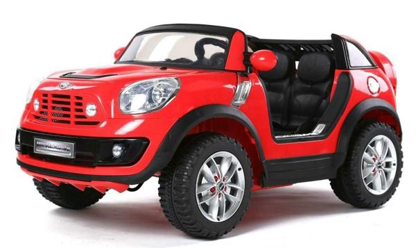 mini beachcomber