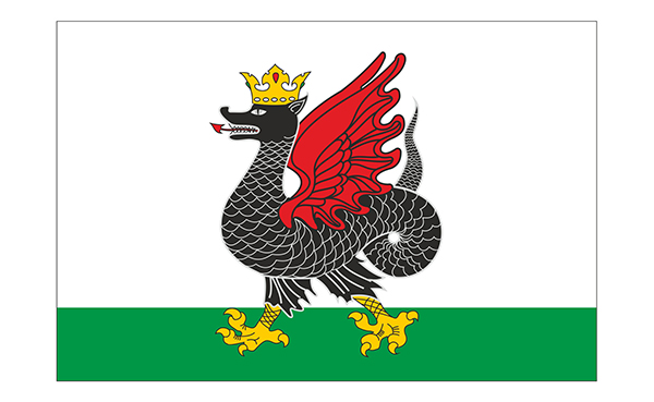 герб Казани