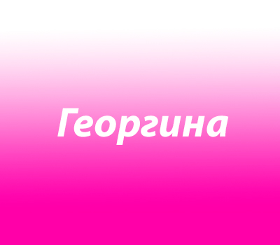 Георгина