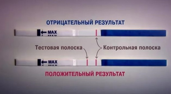 тест на беременность