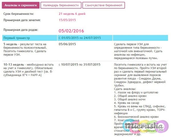 календаре беременности