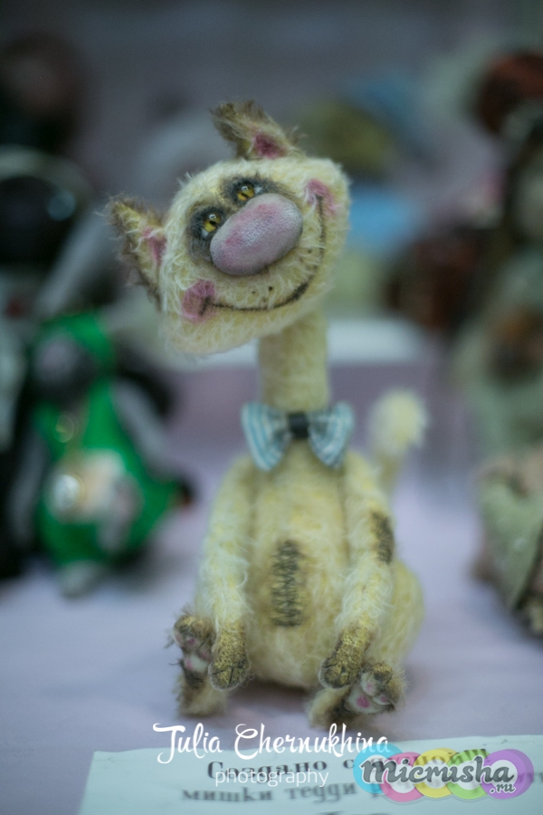 Олег Кияшов кот