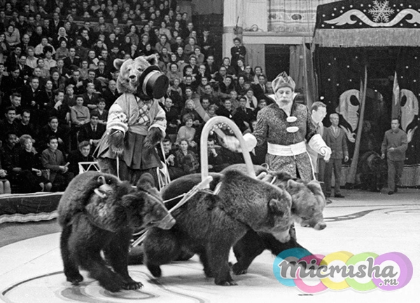 "медвежий цирк" Валентина Филатова