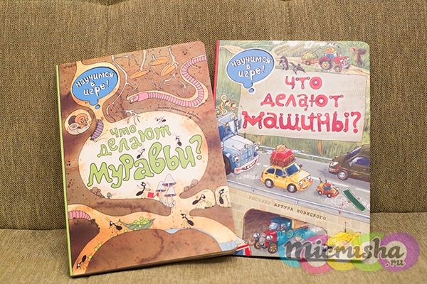 Что делают муравьи