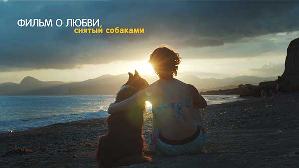 Фильм о любви, снятый собаками