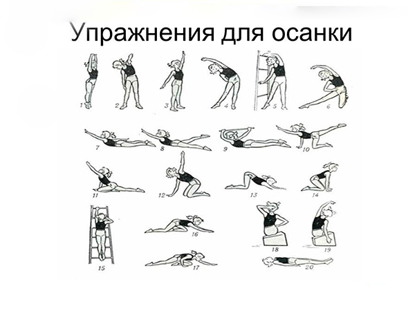 Упражнения для исправления осанки
