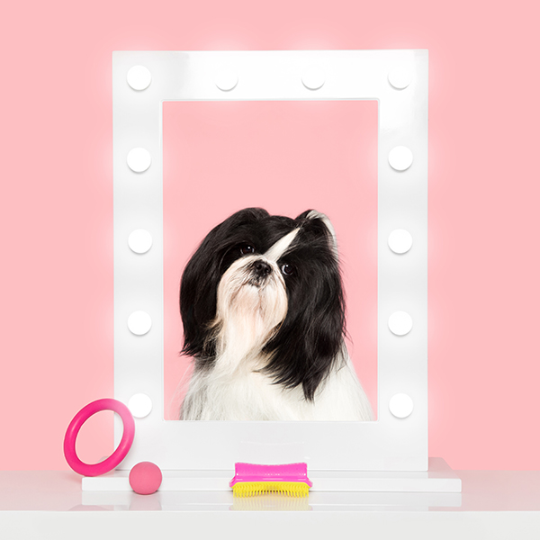 Pet Teezer расчёска для питомца