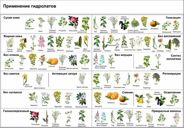 гидролат