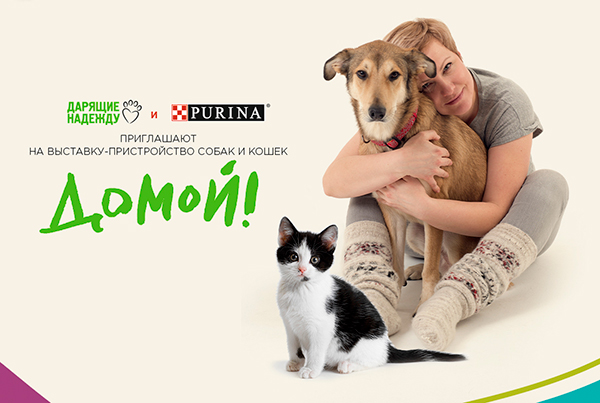 выставка-пристройство «Домой!»