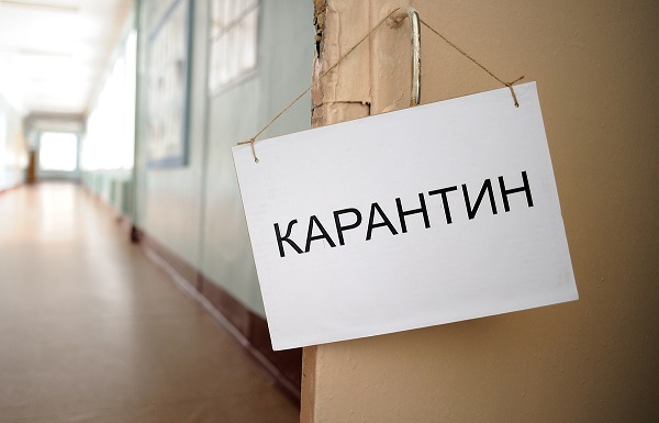 чем заняться на карантине