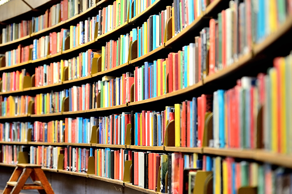 Если бы Москва была книгой