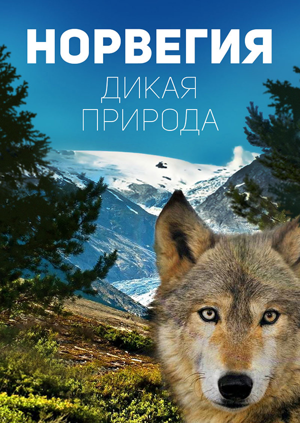 Норвегия. Дикая природа