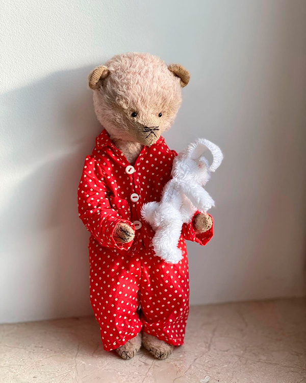 Hello Teddy 2022